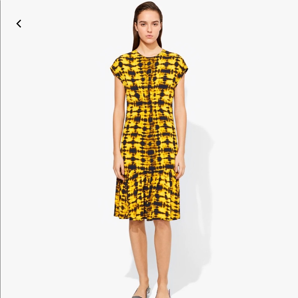 Proenza Schouler Tie Dye Short Sleeve Dress